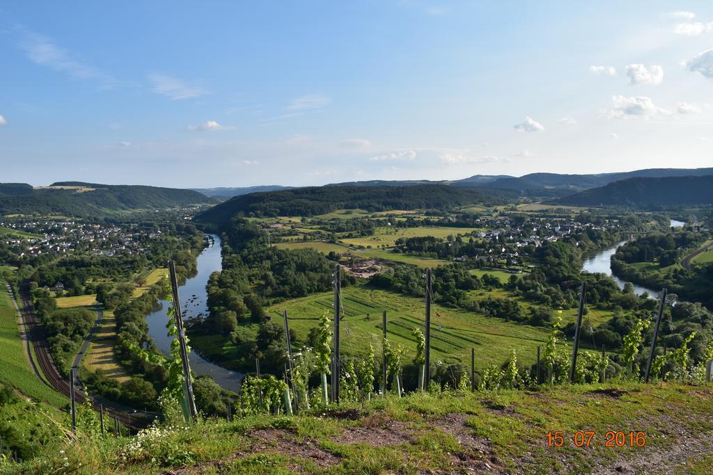Ferienweingut Borens Wiltingen 外观 照片